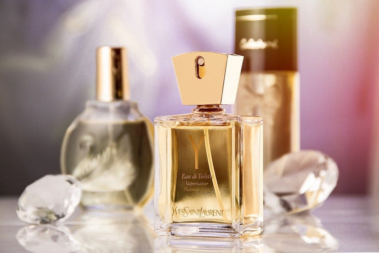 Fragrances  Perfumes